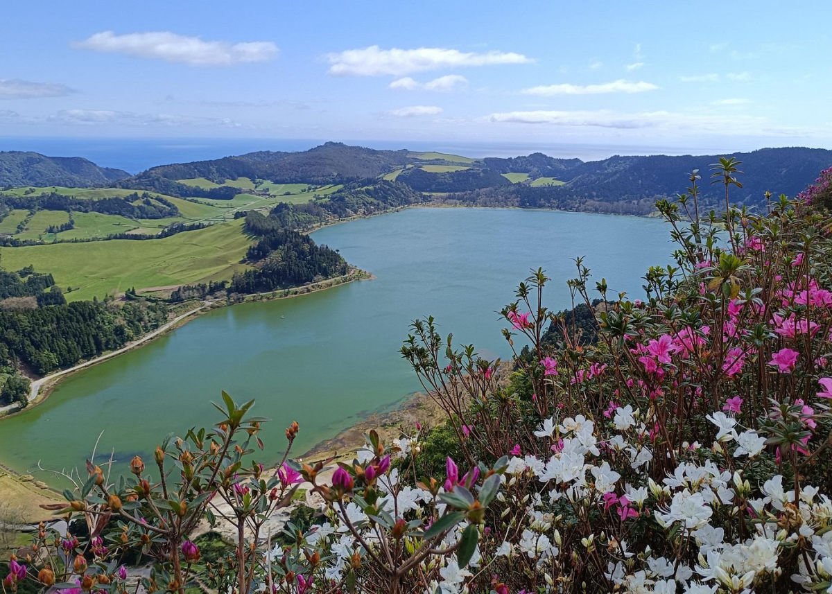 Furnas Valley & Gorreana Tea Factory - Gems of the Island